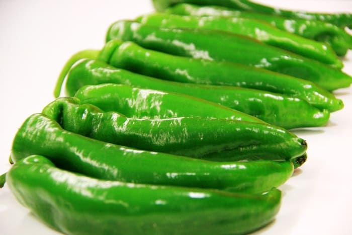 pimientos-padron-img